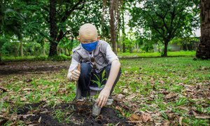 Des arbres sont plantés en République démocratique du Congo pour aider à lutter contre le changement climatique.