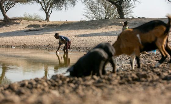 Desde o início deste ano, Angola está atravessando surtos de cólera graves