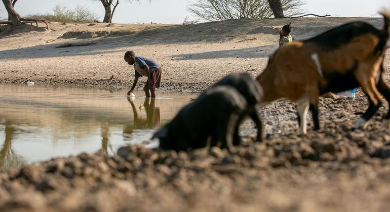 Décadas de secas cíclicas no sul de Angola provocam ondas migratórias de pessoas e rebanhos