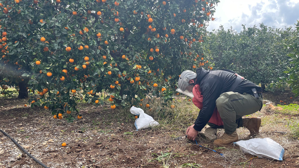 Конвенция о запрете противопехотных мин 1997 года переживает самый серьезный кризис за десятилетия.