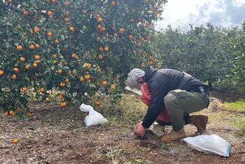 A deminer prepares for the destruction of an unexploded munition in Ras El Ein village in southern Lebanon.