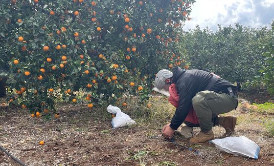 A deminer prepares for the destruction of an unexploded munition in Ras El Ein village in southern Lebanon.