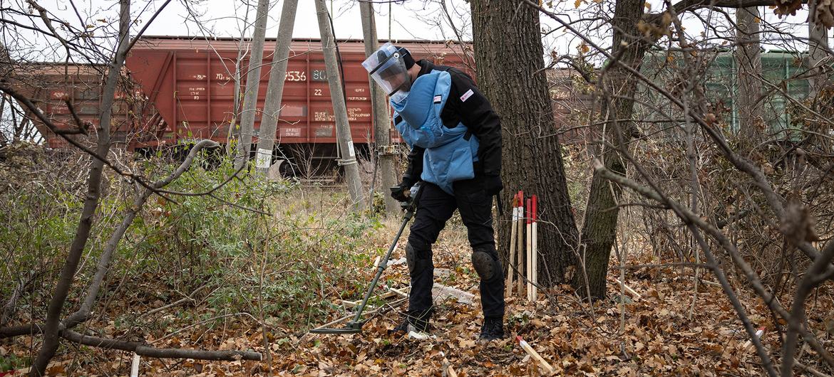 Un démineur procède au déminage d'une zone de combat dans un parc, à la périphérie de la ville de Mykolaïv, en Ukraine.