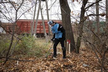 Un démineur procède au déminage d'une zone de combat dans un parc, à la périphérie de la ville de Mykolaïv, en Ukraine.