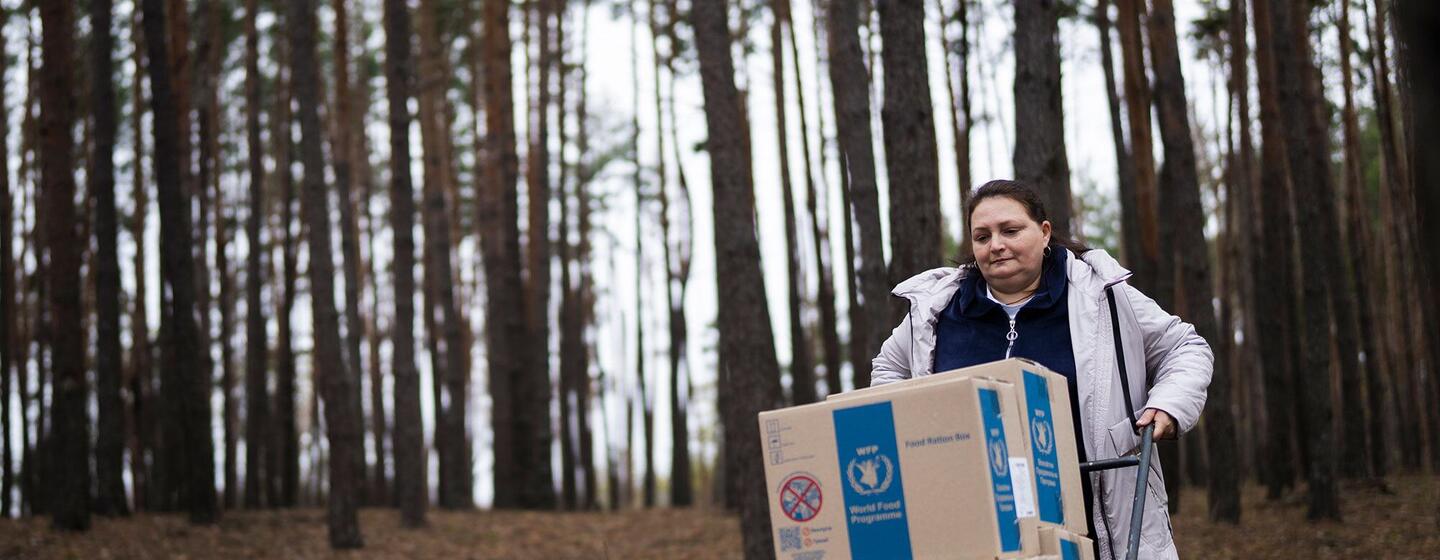 Uma mulher empurra uma carruagem carregada com caixas de ajuda alimentar do Programa Mundial de Alimentos através de uma floresta na Ucrânia, destacando os esforços humanitários em andamento nas zonas de conflito.