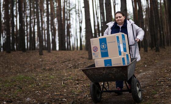 Plano trienal de emergência e recuperação precoce para a agricultura na Ucrânia