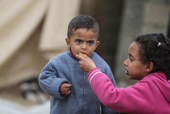 Le PAM fournit une assistance alimentaire à des familles déplacées à Deir Elbalah, à Gaza.