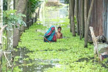 Une femme et un enfant pataugent dans les eaux de crue à Kurigram, au Bangladesh.
