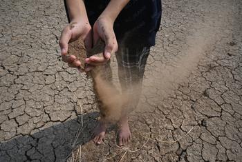 Una persona permanece descalza sobre tierra agrietada y reseca, sosteniendo tierra seca entre sus manos.