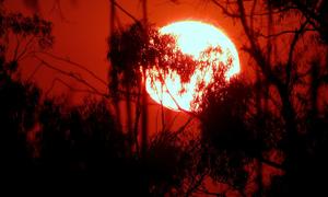 January 2025 was the warmest since records began, at 1.75°C above the pre-industrial level.