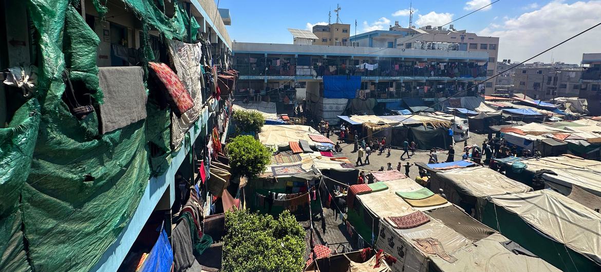 Families continue to shelter in school buildings in the Gaza Strip.