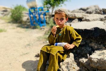 Un écolier de la province de Zabul, en Afghanistan, mange des biscuits enrichis fournis par le Programme alimentaire mondial, ou PAM (photo d'archive). Un écolier de la province de Zabul, en Afghanistan, mange des biscuits enrichis fournis par le Programme alimentaire mondial, ou PAM (photo d'archive).