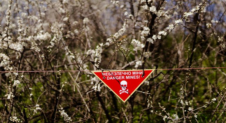 Un panneau avertissant de la présence de mines terrestres en Ukraine.