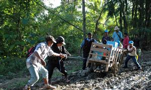 Des agents de l'administration électorale traînent du matériel électoral sur une piste boueuse au Timor-Leste.