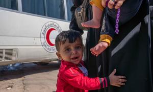 A young boy and his family arrive at the Syrian border after fleeing Beirut.