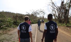 Two staff of the World Food Programme assess the logistical challenges of getting aid to isolated communities in Jamaica.