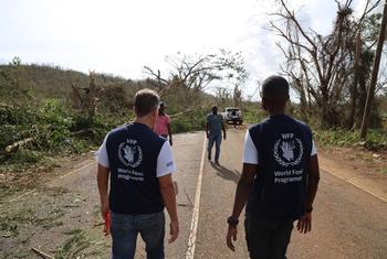 Dos miembros del personal del Programa Mundial de Alimentos evalúan los desafíos logísticos para hacer llegar la ayuda a las comunidades aisladas de Jamaica.