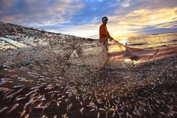 Um homem pesca na Ilha de Saint Martin, Bangladesh, na Baía de Bengala