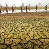 El cambio climático y las prácticas insostenibles en relación con la tierra y el agua están provocando sequías en todo el mundo.