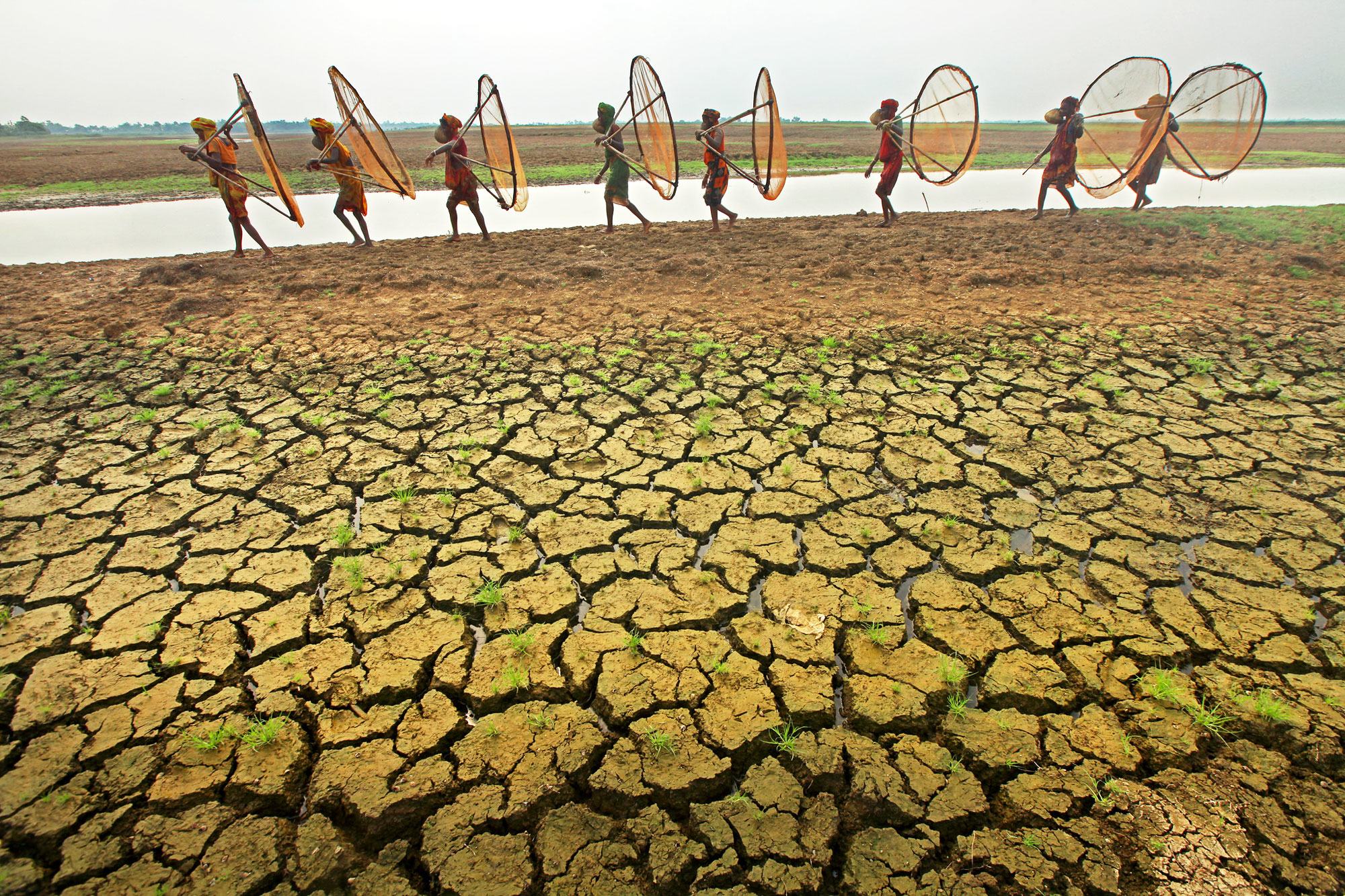  Le changement climatique et les pratiques non durables en matière de gestion des terres et de l'eau sont à l'origine de la sécheresse dans le monde entier.