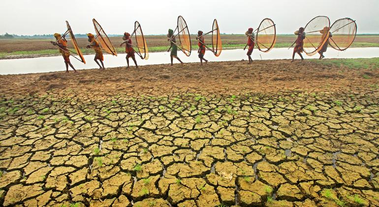 जलवायु परिवर्तन, असतत भूमि एवं जल प्रथाओं से, दुनिया भर में सूखे की स्थिति उत्पन्न हो रही है.