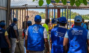 El personal de la OIM se prepara para ayudar a los haitianos deportados a reingresar en su país de origen.