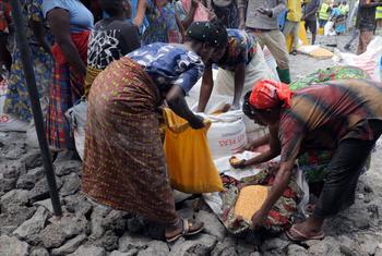 Des femmes, dans l'est de la RDC, collectent de la nourriture fournie par l'ONU et ses partenaires.