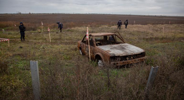 Des démineurs nettoient une zone précédemment occupée près de la ligne de front entre Mykolaiv et Kherson dans le sud de l'Ukraine.