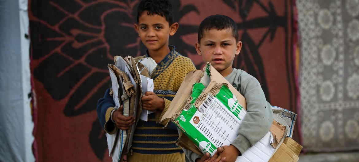 加沙儿童收集纸板来生火做饭。
