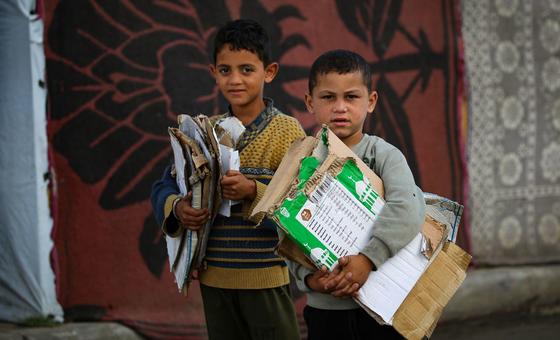 Niños de Gaza recogen cartón para encender fuego para cocinar.