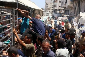 Hombres escalan las barreras de una cocina comunitaria en el oeste de la Ciudad de Gaza en busca de comida (foto de julio de 2025).