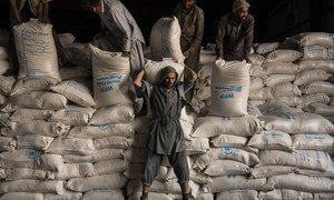 L'ONU continue de fournir une aide humanitaire en Afghanistan, malgré les bouleversements politiques.