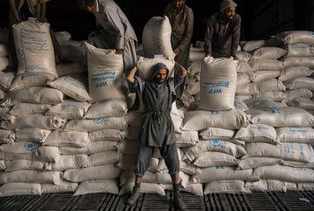 The UN continues to provide humanitarian aid in Afghanistan, despite the political upheaval.