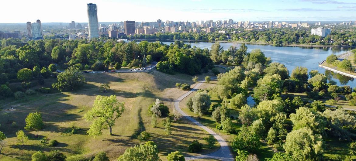 Los bosques urbanos ayudan a mejorar la calidad del aire y a disminuir las emisiones de carbono.