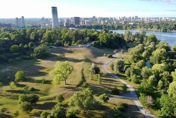 As florestas urbanas ajudam a melhorar a qualidade do ar e a diminuir as emissões de carbono