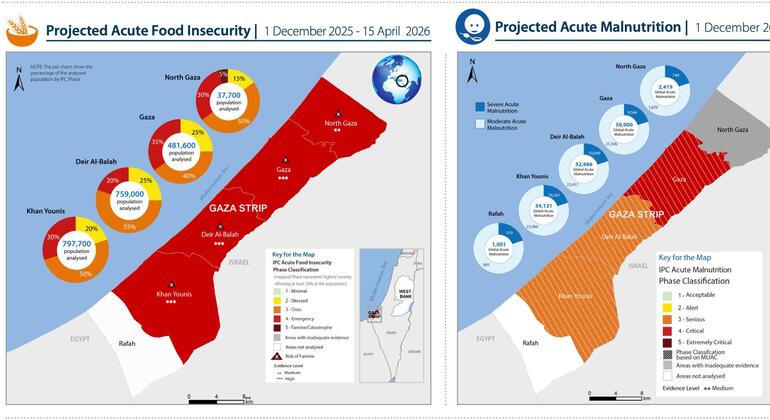 Infografía que muestra una proyección de inseguridad alimentaria aguda y desnutrición aguda en la Franja de Gaza desde diciembre de 2025 hasta abril de 2026, con datos sobre las poblaciones afectadas y los niveles de gravedad.