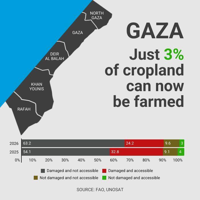 An infographic showing a map of Gaza and a bar chart illustrating the percentage of cropland that is damaged or accessible in 2025 and projected for 2026.