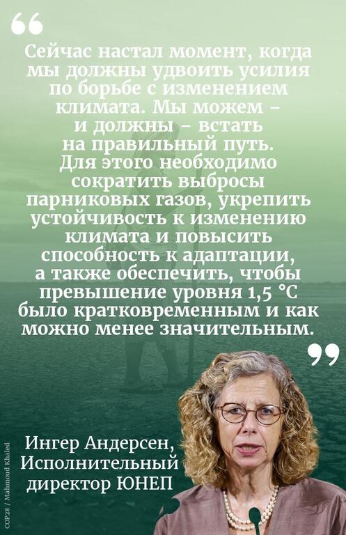 На фотографии крупным планом изображена Ингер Андерсен, исполнительный директор Программы United Nations по окружающей среде (UNEP), с кудрявыми седыми волосами и в очках, в жемчужном ожерелье, на фоне зеленого градиентного фона с крупной цитатой на русском языке о необходимости удвоить усилия по борьбе с изменением климата на COP28.