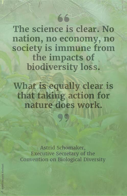 A quote card shows a tiger behind green leaves with text about biodiversity loss and action for nature, attributed to Astrid Schomaker of the Convention on Biological Diversity.