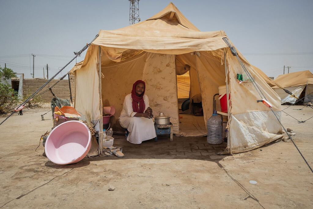 media:entermedia_image:b98d0a9a-5d95-46b4-89d1-14a2268c8c3b