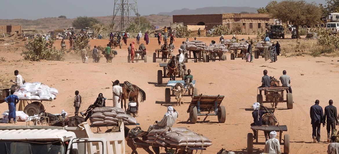 media:entermedia_image:eda3d606-81f6-45f9-bca1-eb1f93c0c160