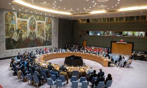 Una amplia visión de la reunión del Consejo de Seguridad de las Naciones Unidas sobre la cooperación entre las Naciones Unidas y las organizaciones regionales y subregionales.
