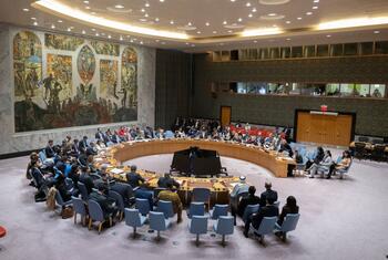 نظرة واسعة على اجتماع مجلس الأمن التابع للأمم المتحدة حول التعاون بين الأمم المتحدة والمنظمات الإقليمية ودون الإقليمية.