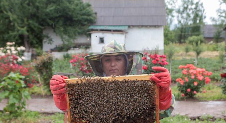 Пчеловода в защитном снаряжении держит рамку пчелиного пчела, покрытую пчелами в сельском саду в Таджикистане, с цветами и домом на заднем плане.