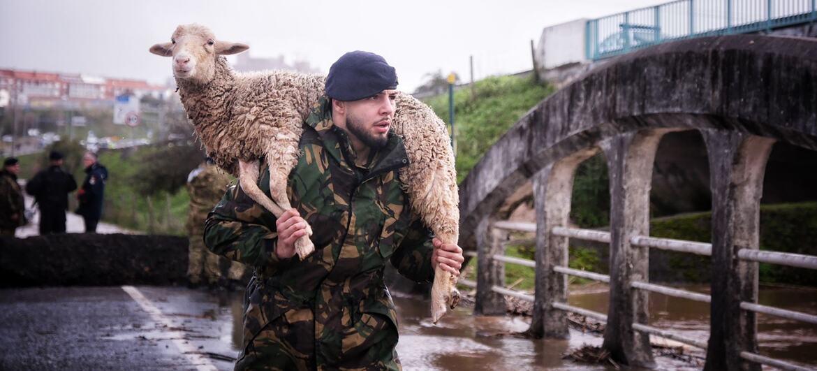 Um soldado português em uniforme de camuflagem carrega uma ovelha sobre o ombro através de águas inundadas perto de uma ponte danificada durante uma tempestade em Portugal.