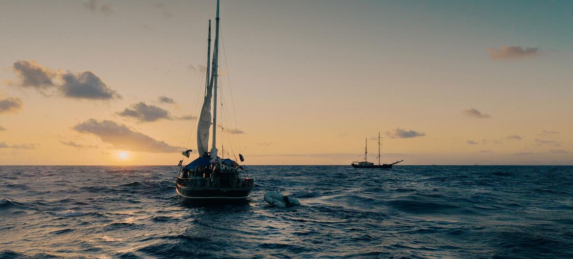 Un velero de la Flotilla Global Sumud navega por el océano al atardecer.