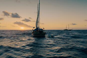 Un velero de la Flotilla Global Sumud navega por el océano al atardecer.