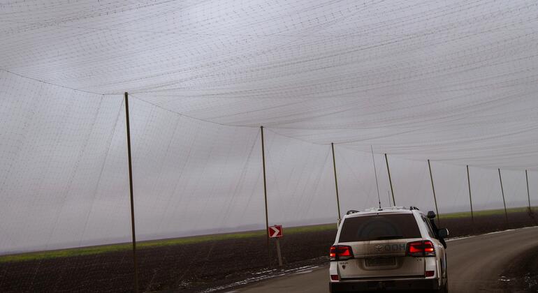 一辆白色的SUV沿着乌克兰的农村道路行驶,经过一个由杆子支持的大型农业网.