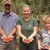 Мужчина, женщина и мальчик, удерживающие в пышном бразильском лесу свежеполученные красные чайные ягоды.