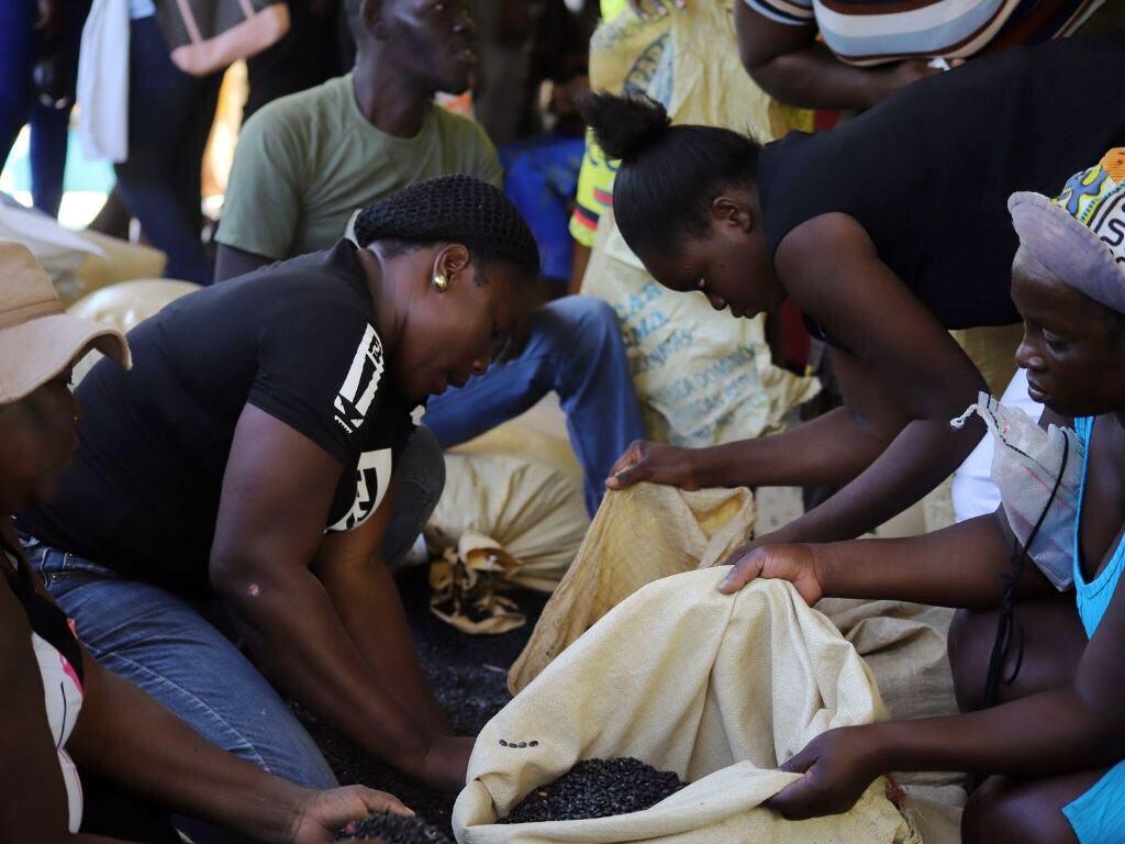 Les femmes en Haïti trient des sacs de céréales dans le cadre d'un programme d'aide alimentaire d'urgence soutenu par la FAO et le Fonds humanitaire régional.